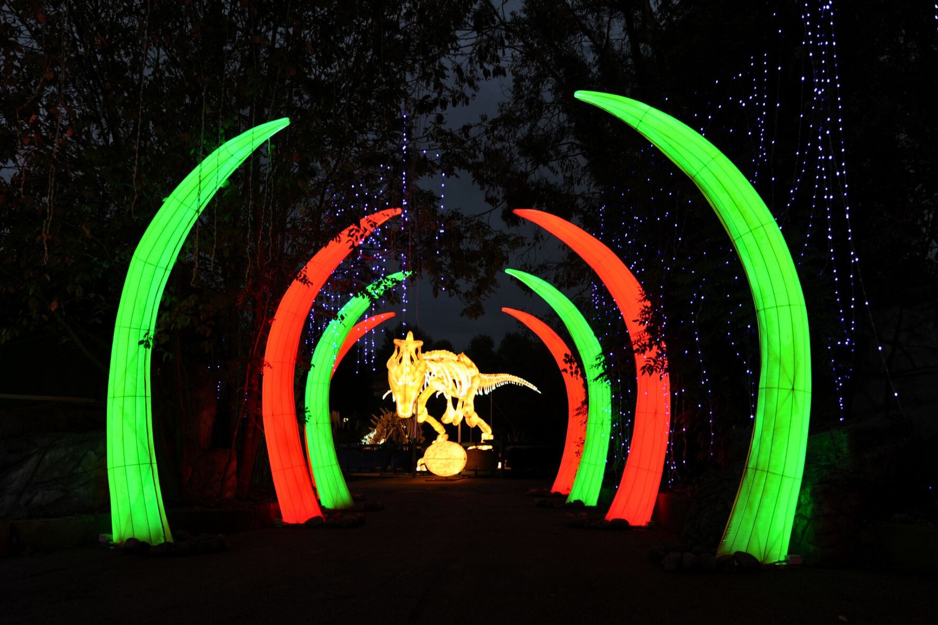 Land Of Lights (1)
